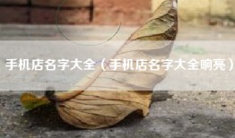 手机店名字大全（手机店名字大全响亮）