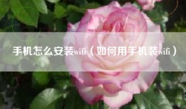 手机怎么安装wifi(如何用手机装wifi)