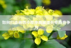 如何打造高效小程序商城提升电商竞争力