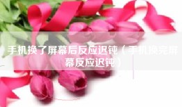 手机换了屏幕后反应迟钝(手机换完屏幕反应迟钝)