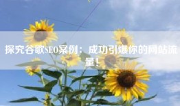 探究谷歌SEO案例：成功引爆你的网站流量！
