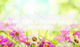 手机消除马赛克（手机消除马赛克还原图片的软件）