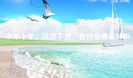 未来十年，经济下滑，各行业痛点解析