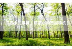 屏最小的手机（屏最小的智能手机）