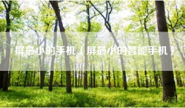 屏最小的手机（屏最小的智能手机）