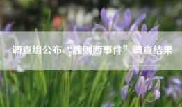 调查组公布“魏则西事件”调查结果