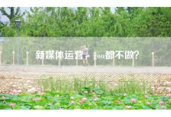 新媒体运营，gou都不做？