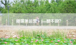 新媒体运营，gou都不做？