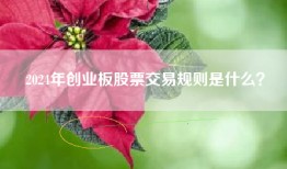 2024年创业板股票交易规则是什么？