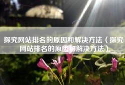 探究网站排名的原因和解决方法（探究网站排名的原因和解决方法）