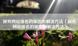 探究网站排名的原因和解决方法（探究网站排名的原因和解决方法）
