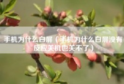 手机为什么白屏（手机为什么白屏没有反应关机也关不了）