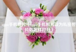 oppo手机照片（oppo手机照片设为私密照片后怎样打开）