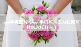oppo手机照片（oppo手机照片设为私密照片后怎样打开）