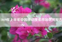2019年上半年中国移动搜索市场研究报告