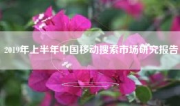 2019年上半年中国移动搜索市场研究报告