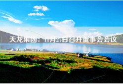 天龙集团：11月27日召开董事会会议