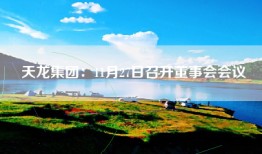 天龙集团：11月27日召开董事会会议