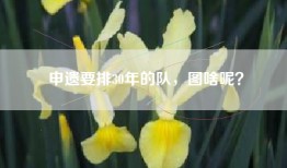 申遗要排30年的队，图啥呢？