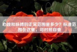 心跳和脉搏的正常范围是多少？标准范围在这里，可对照自查
