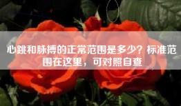心跳和脉搏的正常范围是多少？标准范围在这里，可对照自查