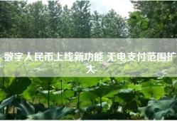 数字人民币上线新功能 无电支付范围扩大