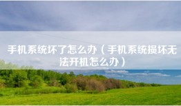 手机系统坏了怎么办（手机系统损坏无法开机怎么办）