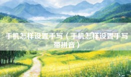 手机怎样设置手写（手机怎样设置手写带拼音）