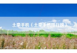 土豪手机（土豪手机排行榜）
