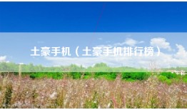 土豪手机（土豪手机排行榜）