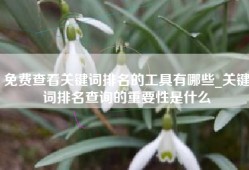 免费查看关键词排名的工具有哪些_关键词排名查询的重要性是什么