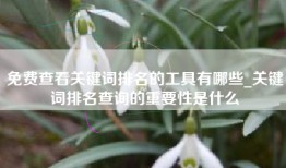 免费查看关键词排名的工具有哪些_关键词排名查询的重要性是什么