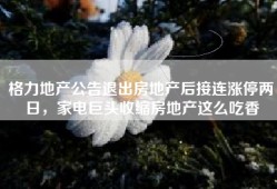 格力地产公告退出房地产后接连涨停两日，家电巨头收缩房地产这么吃香