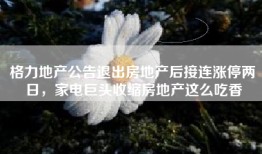 格力地产公告退出房地产后接连涨停两日，家电巨头收缩房地产这么吃香