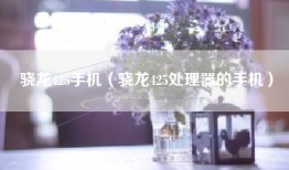 骁龙425手机（骁龙425处理器的手机）