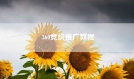 360竞价推广教程