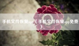 手机文件恢复app（手机文件恢复app免费）