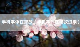 手机字体在哪改(手机字体在哪改过来)