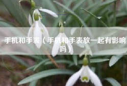手机和手表（手机和手表放一起有影响吗）