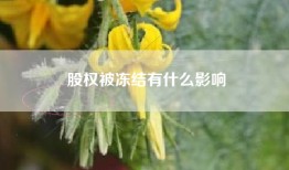 股权被冻结有什么影响