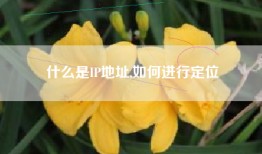 什么是IP地址,如何进行定位
