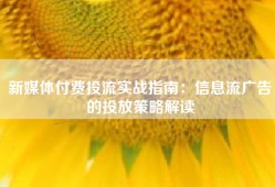 新媒体付费投流实战指南：信息流广告的投放策略解读