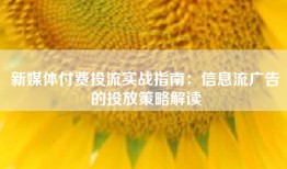 新媒体付费投流实战指南：信息流广告的投放策略解读