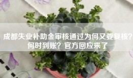 成都失业补助金审核通过为何又要复核？何时到账？官方回应来了
