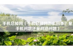 手机总掉网（手机总掉网怎么回事？是手机问题还是网络问题）