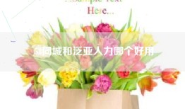 58同城和泛亚人力哪个好用