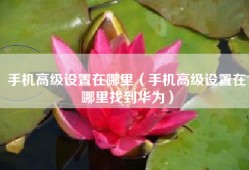 手机高级设置在哪里（手机高级设置在哪里找到华为）