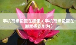 手机高级设置在哪里（手机高级设置在哪里找到华为）