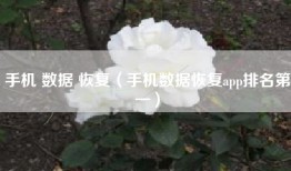 手机 数据 恢复(手机数据恢复app排名第一)