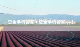 安全手机管家(安全手机管家app)